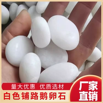 Yunnan white pebbles Yuhua stone raw stone courtyard paving balcony landscaping soft stone boutique polishing