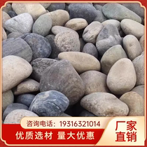 Chongqing paving river pebbles cobblestone paving large black and white stone raw stone fish tank decoration natural goose soft warm stone