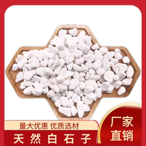 Zhejiang white stone white gravel succulent paving stone flower cultivation small white stone pebbles rain flower stone fish tank