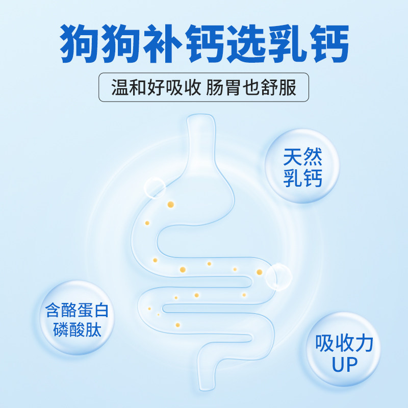拉布拉多掉毛大揭秘！是噩梦还是正常？!