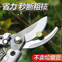 Japanese steel fruit tree pruning shears garden branch scissors gardening shears flower pruning tools German labor-saving scissors artifact