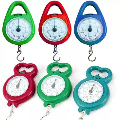 Mini weighing portable high-precision household express small scale spring scale student teaching mechanical scale