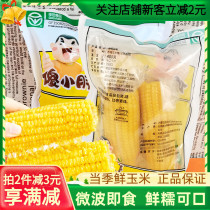 New date Inner Mongolia silly little fatty fresh corn 400gx2 root vacuum coarse grain ready-to-use heated fresh yellow corn stick