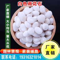 Hebei white pebbles natural rain flower stone original stone courtyard garden paving landscaping decoration goose warm stone stone white