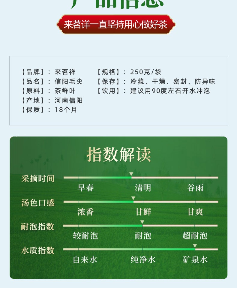 【来茗祥】2021新茶信阳毛尖绿茶