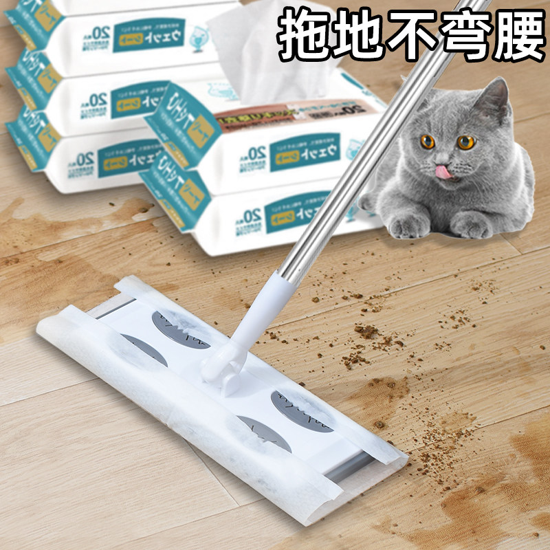 Cat hair cleaning broom dog hair cat hair removal suction scraping sticky hair remover bed carpet electrostatic adsorption artifact