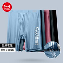 Cat person lengthened underwear mens adult sports shorts breathable anti-wear leg flat angle pants mid-waist thin underpants underpants