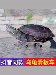 Turtle Scooter Fingertip Mini Toy Parrot Skateboard Model Pendant Douyin ແບບດຽວກັນ Internet Celebrity Pet