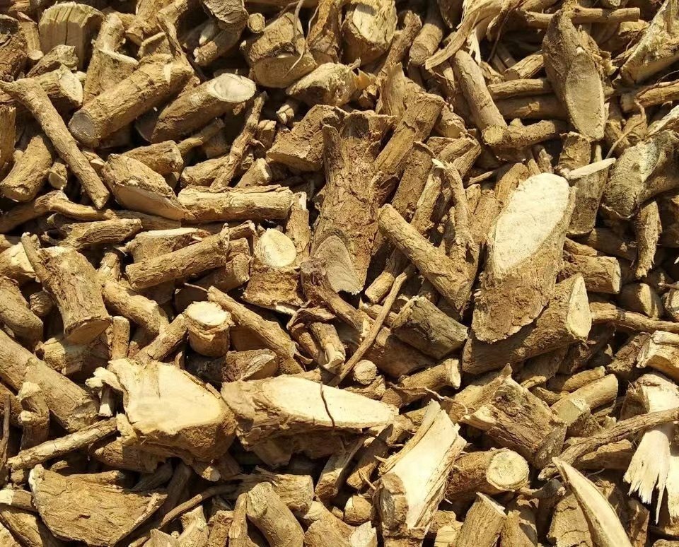 构树根 构树皮 楮树根中药材 楮根皮楮树根皮楮树