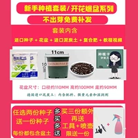 Описание деятельности [купить больше и получить больше]