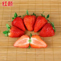 Red Yan Jiu Jiu Strawberry 500 Капсулы+горшки+почва+удобрения (купить