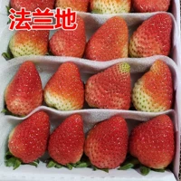 500 зерна клубники в фланцевой земле+горшок+почва+удобрения (купить 2