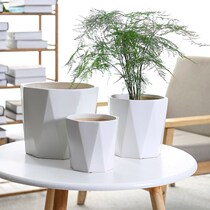 Octagonal flowerpot ceramic succulent with tray one dedicated large pot white large-caliber Nordic style for growing green radishes