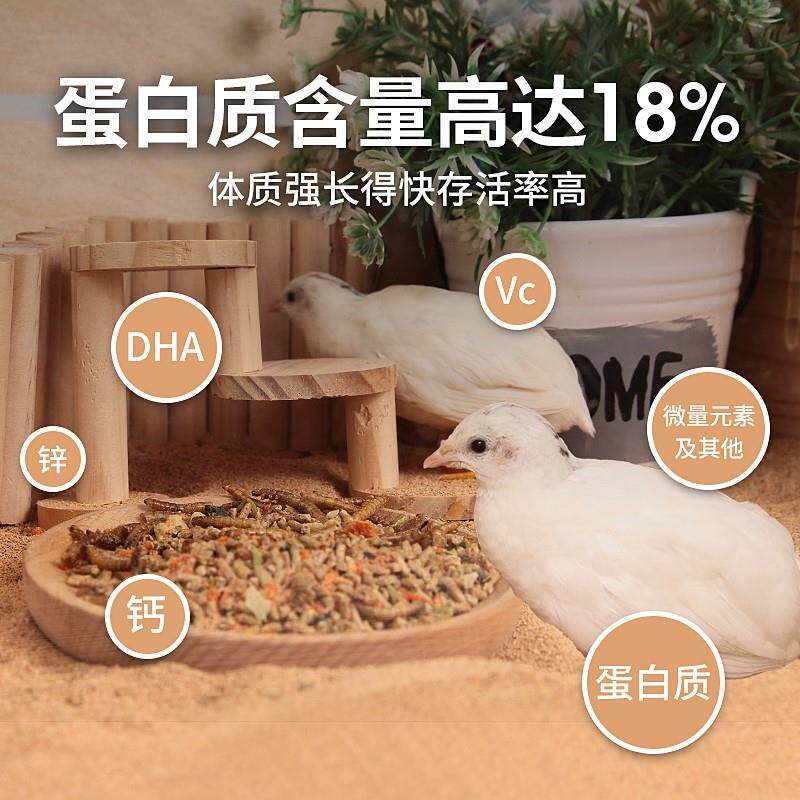 Luding Chicken Produce Egg Grain Chicken Feed Nutritious Egg Food Size Luding Chicken Opening Grain Rudding Chicken Quail Special-Taobao