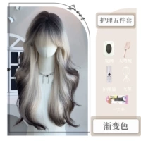 Модель проката [градиент сиамская кошка]+уход