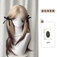 Золотая сетка для волос с пробором по середине, градиент