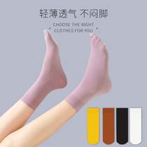 Black socks in summer socks in summer stockings short velvet stockings summer thin socks white