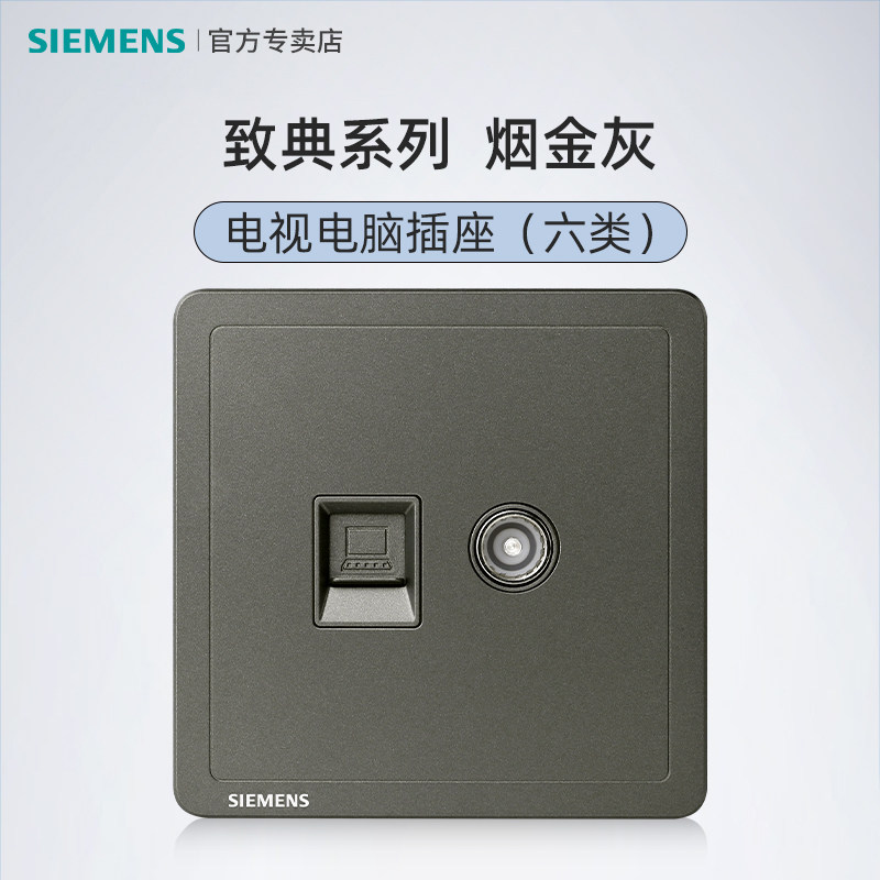 Siemens Classic TV plus Computer Panel Wire Cable Network Connection Network Two-in-One TV