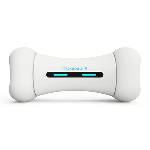 Интеллектуальная игра 吖 吖 吖 蛍 蛍 蛍 智 智 智 智 自 智 锿 锿 锿 锿 锿 锿 智 智 智 智 智 智 智 智 智 智 智 智 智 智 智 智 智 智 智 智 智 智 智 智 智 智 智 智 智 智 智 智