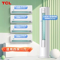 Четыре спальни и один зал (110 квадратных метров)