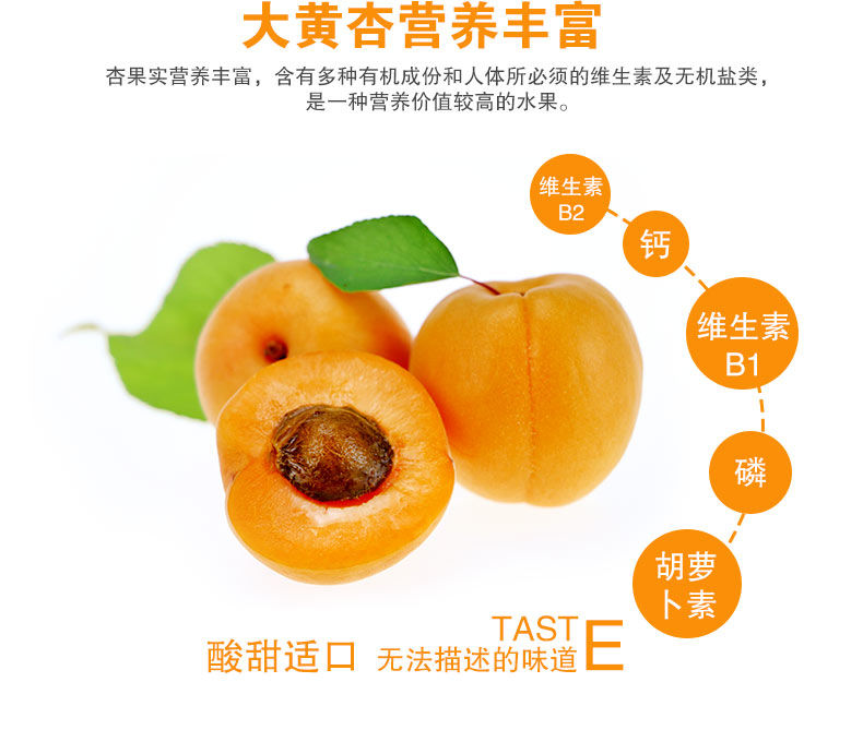 河南灵宝 高山大黄杏 净重5斤 图7