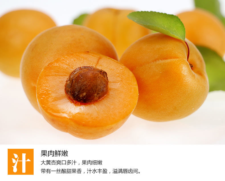 河南灵宝 高山大黄杏 净重5斤 图10