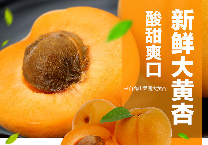 河南灵宝 高山大黄杏 净重5斤 图1