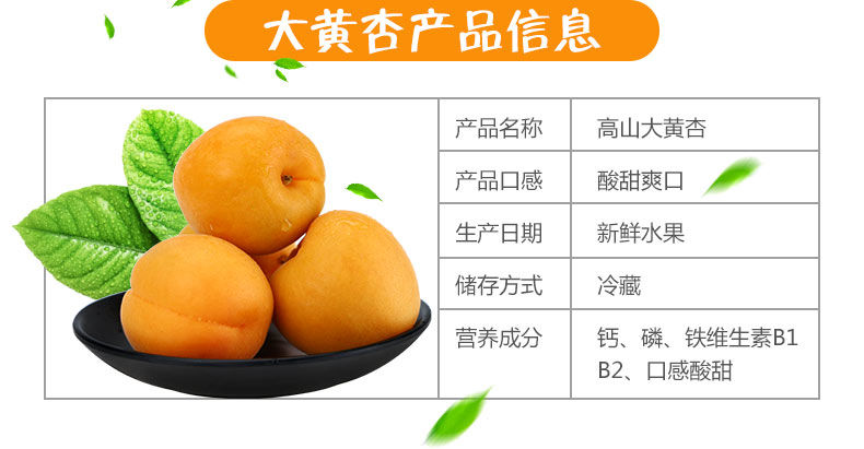 河南灵宝 高山大黄杏 净重5斤 图3