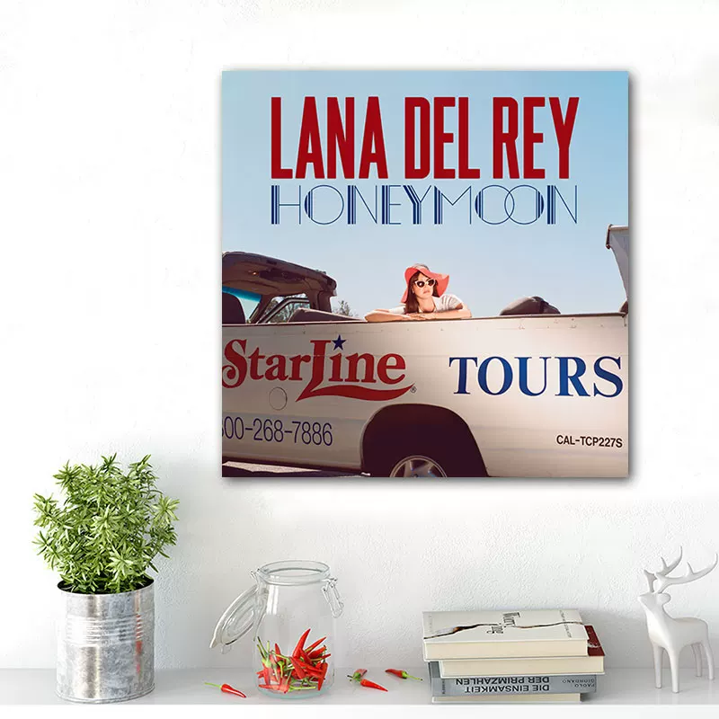 Обложка альбома LANA DEL REY Lan Drey, постер, декоративная картина, вокруг изображены европейские и американские звезды