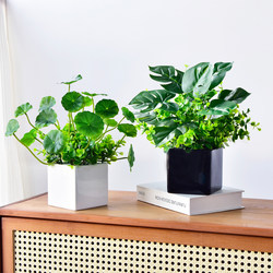 Simulated Turtle Back Fake Flowers Fresh and Simple Living Room Desktop Green Plants Eucalyptus Bonsai Potted Ornaments Home Decoration