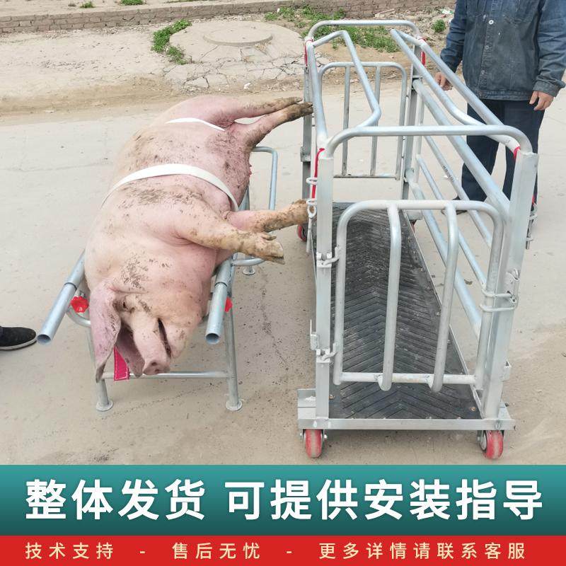 宰杀运输一体猪笼子，养猪户的转运神器？🌟揭秘多功能猪笼-猪栏猪笼-淘宝好物网