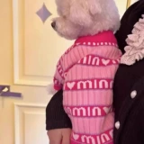 Демисезонный удерживающий тепло свитер, милый шнурок-держатель, осенний сезон