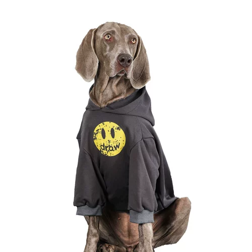 Одежда для собак с собаками с собаками осень и зимний золотой мао ​​Ладо Саммел красивый и приличный противный нагреватель