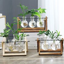  Test tube vase Creative wooden frame desktop hydroponic glass vase Raising green dill plant flower pot container decoration Office