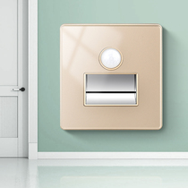 Bull 86 Type Embedded Foundation Light Control Body Induction Small Night Light Home Bedroom Floor Lamp Sleep Aisle Tread