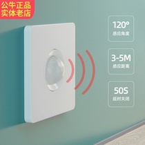 BULL Bull intelligent light control infrared human sensing switch building Road sensing light home sound control time-lapse panel
