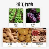 100 миллиардов Deat Berbalobacteria microbiophytis удобрения аквакультура сельскохозяйственная посадка корень гниения