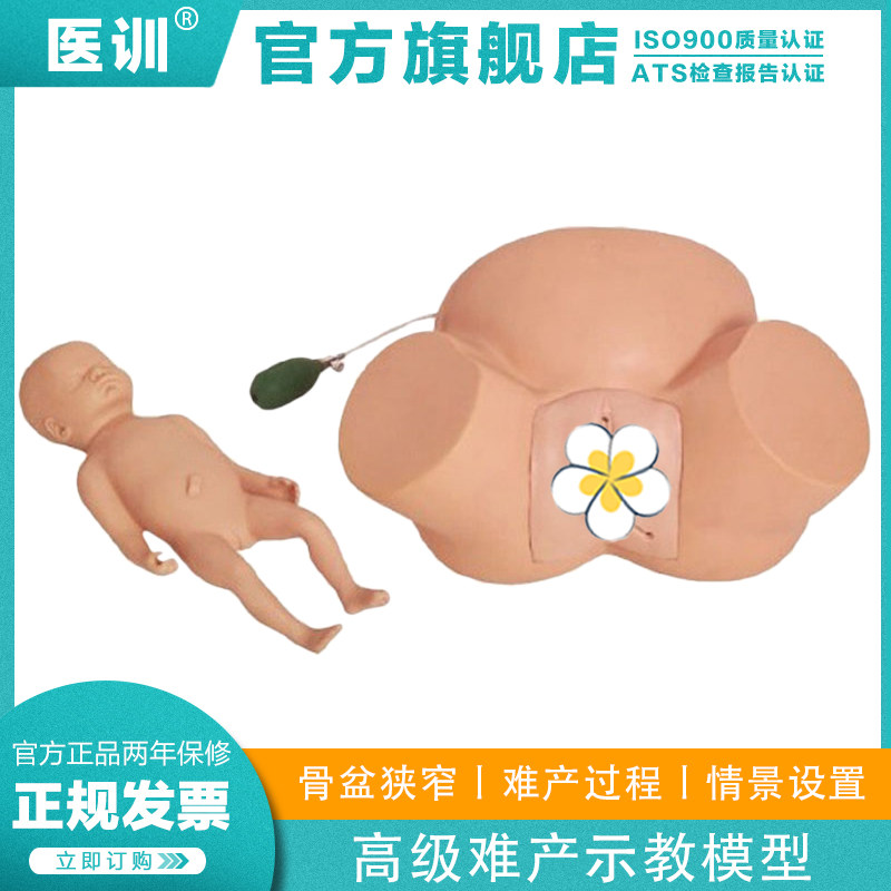 医训 YX/8A高级难产示教训练模型妇产科检查模具分娩标本异常分娩各种情景设置演示骨盆狭窄