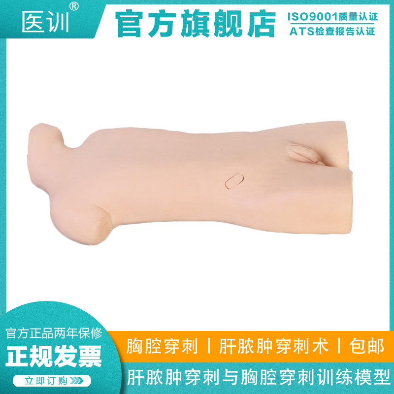 医训 YX/CK819肝脓肿穿刺与胸腔穿刺训练模型半卧位触知叩诊语言积水抽取训练教学假人皮肤穿刺囊腔可更换