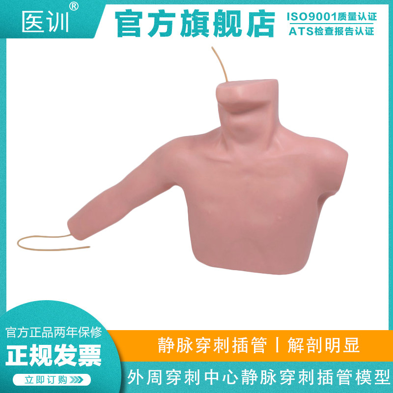 医训 YX/L67A外周穿刺中心静脉穿刺插管模型上腔锁骨下静脉穿刺及颈内静脉穿刺模具