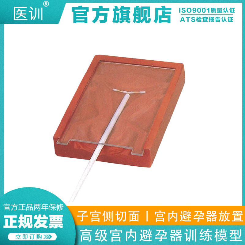 医训 YX/B5高级宫内避孕器训练模型 计生避孕模型,避孕器模型