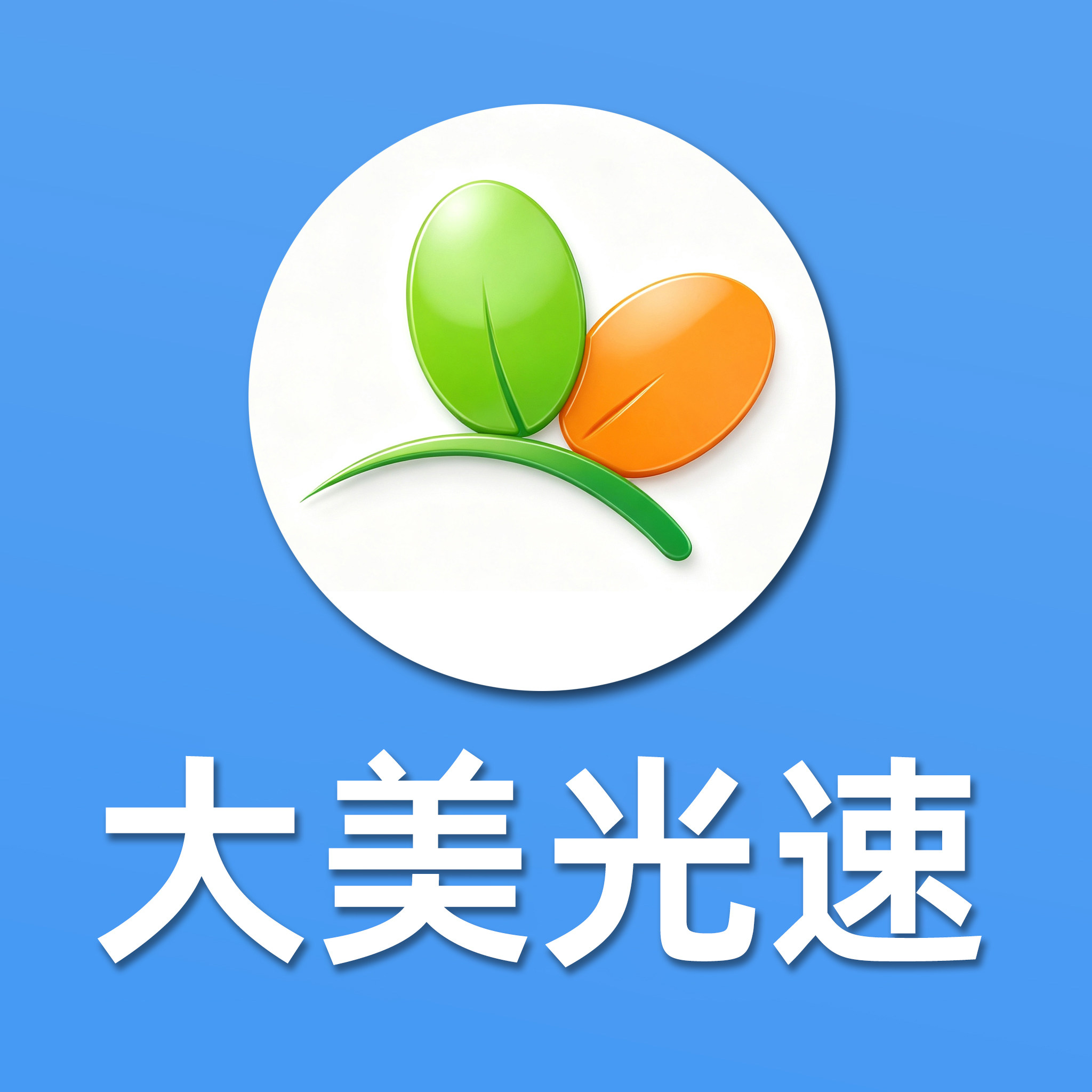 大美光速旗舰店