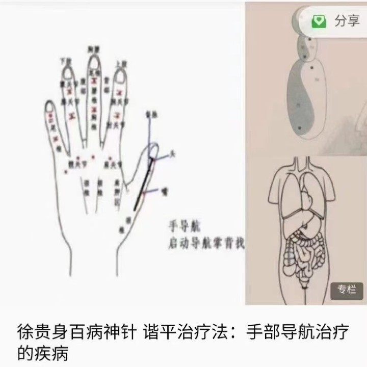 Xugui's Thyme Harmonics Therapy Hand Navigation Therapy For Diseases Harmony Liao Law Film Tutorials All Over