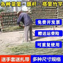 Bamboo Rod Domestic Tomato Fish Rod Melon Shed Roof Terrace Climbing Bracket Rod Bamboo Plate Type Vegetable Shelf Family Balcony Support Rod