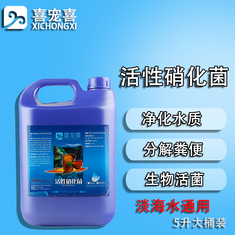 Hi pet hi nitrifying bacteria fish tank water purifier fish farming supplies water quality stabilizer fish medicine live bacteria fish tank pool 5 liters