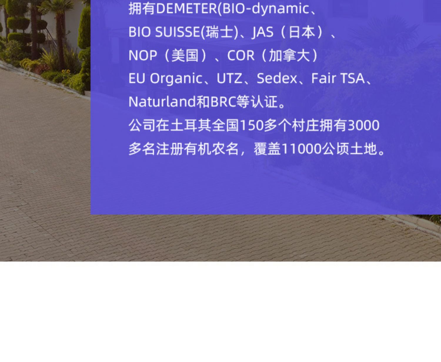 【拍3件】考拉海购土耳其进口无花果干