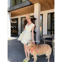 CZ ZHANG Summer French style sweet and beautiful wind sleeveless v collar outline long section A character thin one-piece dress woman A16760