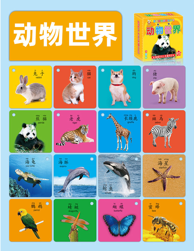 详情图