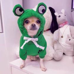 Chihuahua-Specific Dog Clothes for Small Puppies in Autumn and Winter, Mini Deer Dog Autumn Outfit