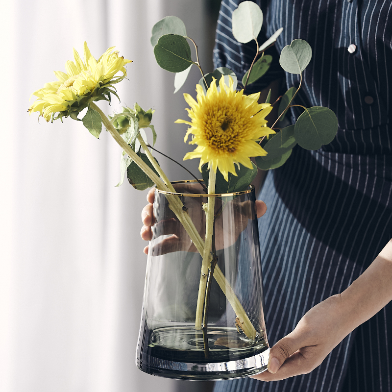 Light luxury Nordic Creative Glass Vase Transparent Living Room decorated with Flowers Flowers Simple Flower Set Flower Flower